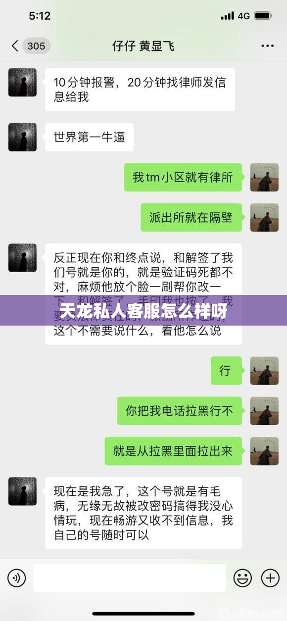 天龙私人客服怎么样呀