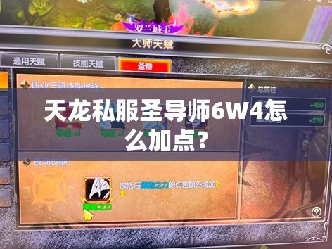 天龙私服圣导师6W4怎么加点？