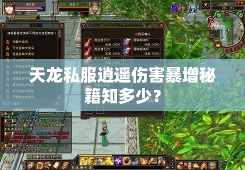 天龙私服逍遥伤害暴增秘籍知多少？