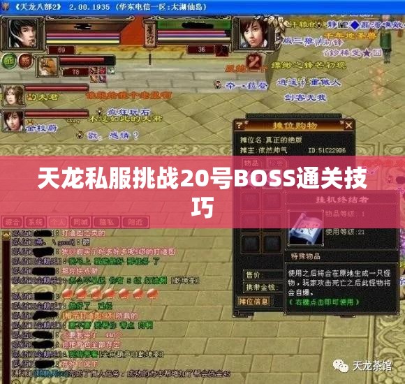 天龙私服挑战20号BOSS通关技巧