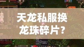 天龙私服换龙珠碎片？你真会玩吗！