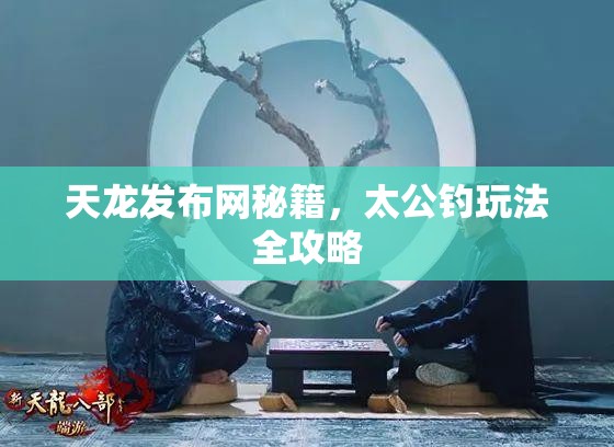 天龙发布网秘籍，太公钓玩法全攻略