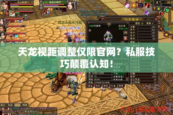 天龙视距调整仅限官网？私服技巧颠覆认知！